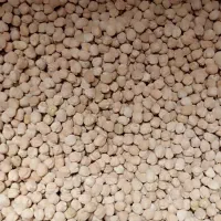 لبنیاتی و خشکبار نخود لوبیا عدس کره محلی ماست