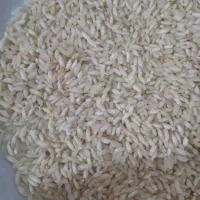 برنج عنبربو با کیفیت و لیزری