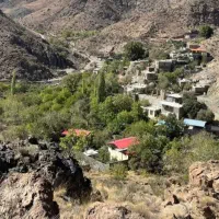 فروشی-روستا