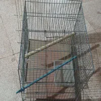 قفسه پرنده