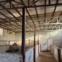 اجاره سوله تمیز کاربردی|اجارهٔ دفتر صنعتی، کشاورزی، تجاری|پیشوا, |دیوار