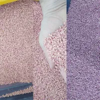 کاه گندم   بذر گندم میهن