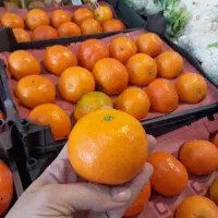 میوه باارسال رایگان در قم|خوردنی و آشامیدنی|قم, ولیعصر|دیوار