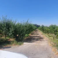 باغچه۵۰۰ متری، تهراندشت، سرخاب