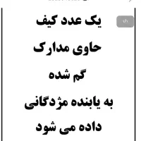 کیف مدارک گم شده گم شده مفقودی علیرضا نجف زاده