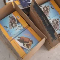 دو دستگاه پانچ فنر زنی و دو دستگاه کاتر بزرگ|ماشین‌آلات صنعتی|کیش, |دیوار