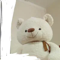 فروش خرس نو