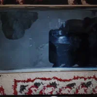 گوشی انفیکس نوت 40 پرو در حد نو