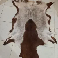 قالیچه پشم بز