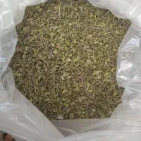 آویشن