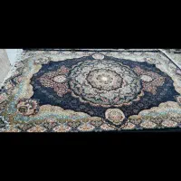 فرش شیش متری هفتصد شانه تراکم ۲۵۵۰|فرش|چابهار, |دیوار