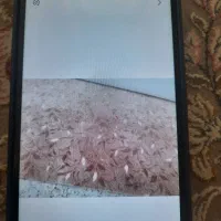 آگهی فروش