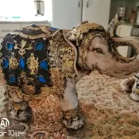 مجسمه پلی استر|مجسمه، تندیس، ماکت|خرم‌آباد, |دیوار