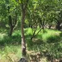 500باغ-کرد-امیر-سند-کنتور-امنیت-بی-بدیل