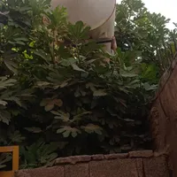 تانکر
