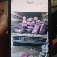 ذغال کبابی خودسوز