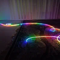 ریسه نئون فلکسی