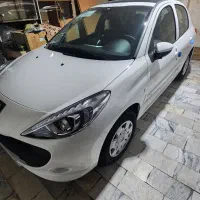 ۲۰۷‌پاناروما‌خشک