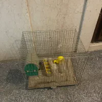 قفس پرنده