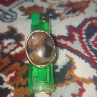 سلطانی مصور  پر انرژی وفعال