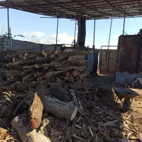 چوب وهیزم ساختمانی زغالی|خدمات باغبانی و درختکاری|لنگرود, |دیوار