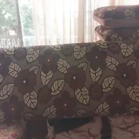 پشتی نو