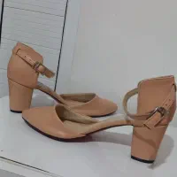 کفش|کیف، کفش، کمربند|اردبیل, |دیوار