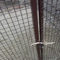 قفس آهنی بزرگ محکم مناسب سگ مرغ خروس کفتر کبوتر