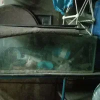 اکواریم با تمام وسایل