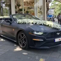 اجاره ماشین عروس کروک / رنت روزانه / فورد موستانگ