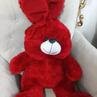 خرس ولنتاین|اسباب‌بازی بچه|پاکدشت, پاکدشت (مامازند)|دیوار