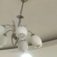 لوستر طرح لاله