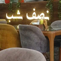 نیروی سالندار خانم