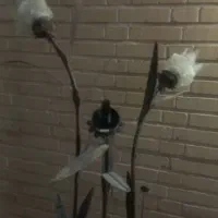 چراغ خواب -آباژور|چراغ خواب و آباژور|سمنان, |دیوار