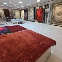 فرش مدل سروین +)&--