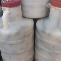 خیارشور ویژه و نول همدان