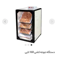 دستگاه جوجه کشی