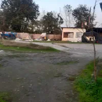 فروش کارخانه برنجکوبی در بندرکیاشهر|فروش دفتر صنعتی، کشاورزی، تجاری|کیاشهر, |دیوار