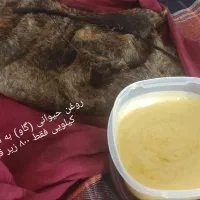 روغن حیوانی