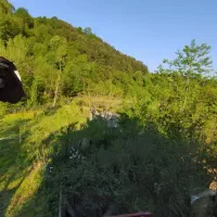 کاملا واقعی در فردیس به قیمت مارلیک