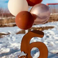 تم تدی|اسباب و اثاث بچه|سقز, |دیوار