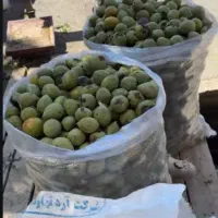 گردو تویسرکان
