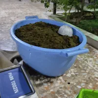 سبزی خورشتی وسبزی قلیه ماهی و سبزی آش باقلا|خوردنی و آشامیدنی|حمیدیه, |دیوار