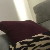 استخدام نظافتچی منزل خانم