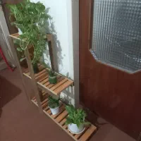 استند گلدان چوبی|گل و گیاه طبیعی|تهران, شادمان|دیوار