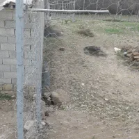 فروش زمین روستایی ، تک برگ سند