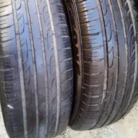 قناری|حراج|بروجرد, |دیوار