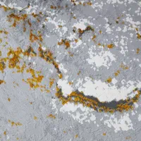 فرش در حد نو|فرش|یزد, |دیوار