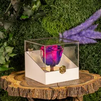 باکس و جعبه گل رز جاودان هدیه تولد و کادو|گل و گیاه طبیعی|تهران, دولاب|دیوار