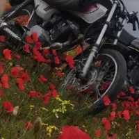 موتور سنددار پلاک ملی ۸۹